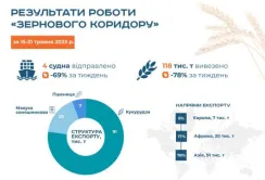 Зерновий коридор досі повноцінно не працює