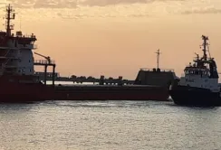 Російські інспектори продовжують саботувати «зерновий коридор»