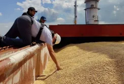 Наступного року деяким кораблям доведеться перевозити зерно без страховки