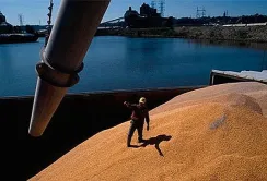 За рік Україна відправила морем агропродукції на $15,8 млрд