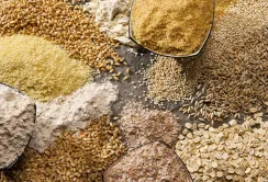 Україна розширила географію продажу насіння зернових