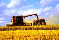 На Хмельниччині почались проблеми зі зберіганням нового врожаю