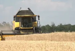 На Луганщині окупанти «націоналізували» 70 тис. тонн зерна нового врожаю
