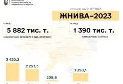 В Україні зібрали майже 6 млн тонн зерна