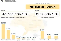 В Україні зібрали понад 63 млн тонн зернових та олійних
