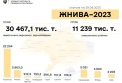 В Україні зібрали майже 42 млн тонн зернових та олійних