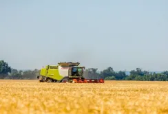 На Дніпропетровщині жнива можуть затягнутись до грудня