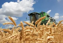 На Закарпатті та Миколаївщині закінчили збирати культури ранньої групи