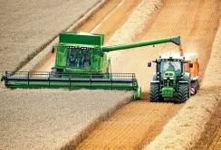 Жнива в Україні проходять на 2-3 тижні раніше, ніж зазвичай