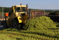 На Чернігівщині побудуть дві біогазові електростанції