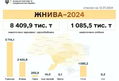 Жнива 2024: зібрали 9,5 млн тонн зернових та олійних