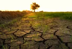 Зміна клімату: нові виклики та можливості для аграріїв Миколаївщини