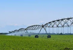 Зрошення в Україні збільшує врожайність в 2-3 рази, – міністр
