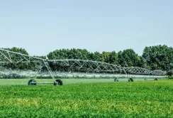 Зараз найбільша кількість зрошуваних земель – на Одещині