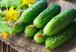 Учасники ринку прогнозують зростання цін на огірки