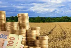 Зростання цін на землю не перекриває інфляцію