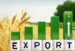 В березні експорт агропродукції зріс на 12%