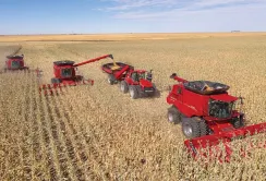 У 2024 році очікується зростання рентабельності зернових та олійних культур, – Мінагрополітики
