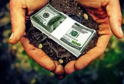 Експерти очікують зростання вартості землі на 40%