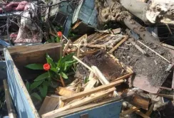 Через війну пасіки на сході України фактично покинуті напризволяще