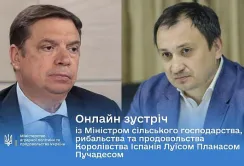 Іспанія зацікавлена в імпорті української кукурудзи та соняшника, – міністр