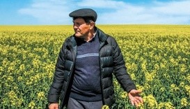 Юрій Ялов­чук, ди­рек­тор гос­по­дар­ст­ва «ТОВ «Ко­лос»» 