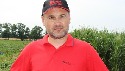 Игорь Чечетко, директор компании HZPC Ukraine