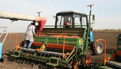 Применение протравителей на озимой пшенице