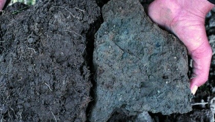 Слева — оптимальная структура почвенных агрегатов, справа — почва нуждается в разрыхлении
