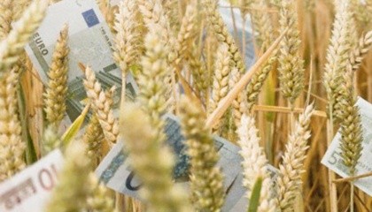 страхование пшеницы