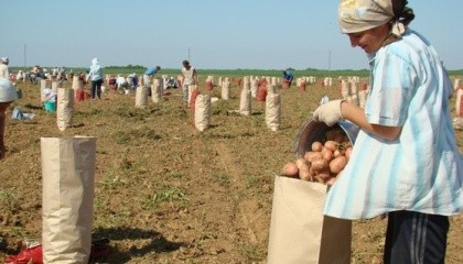 В Україні офіційно зареєстрованих фермерських господарств налічується близько 30 тис.