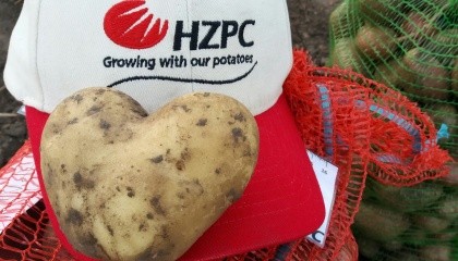 Картофелеводческие предприятия Украины оптимизировали внесение удобрений под картофель