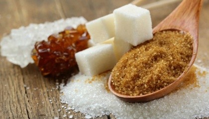 Резерви Вінничини як з виготовлення цукру, так і меляси, бурякових вижимок, біоетанолу із соку цукрових буряків напрочуд великі