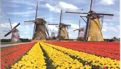 Наиболее перспективный сектор для сотрудничества с Украиной голландский бизнес считает аграрный сектор