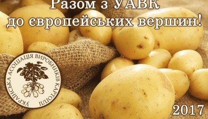Українська асоціація виробників картоплі разом із голландськими колегами проводить дослідження ринку картоплі в Україні та сусідніх країнах, аби визначитися, яка саме продукція потрібна на експорт і для внутрішнього споживання в найближчі роки