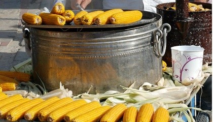 Солодка кукурудза є нишевою для дуже малого фермера. На 1 га фермер може отримати до 100 тис. грн прибутку