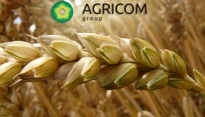 Аgricom Group в кінці літа 2017 р. завершить в Чернігівській області будівництво заводу з виробництва пластівців