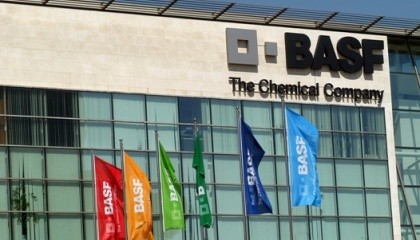 Нова технологія Clearfield® компанії Basf складається з двох частин - унікальних гербіцидів і стійких до них гібридів