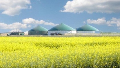 Анализ статистических данных для животноводческих и птицеводческих предприятий Украины свидетельствует, что в диапазоне мощности 30-190 кВт на свинофермах можно построить не менее 370 биогазовых установок