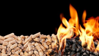 Хотя тепло из биомассы обходится потребителю на 10% дешевле, чем тепло газовых ТЭЦ, даже этот фактор мало способствует развитию биоэнергетики