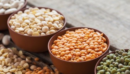 Согласно данным Госкомстата Украины, в 2016 году бобовые культуры вошли в ТОП-5 наиболее прибыльной сельхозпродукции, обеспечив производителям более 76% рентабельности