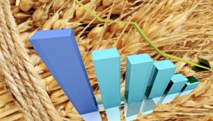 Експортний ринок України не може не реагувати на світові зміни, тож ціни українського зерна також ідуть вниз