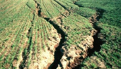 15 млн га українських ґрунтів деградовані. Цей процес потрібно зупинити