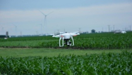 Якщо селекціонери зможуть заощадити час і зусилля, використовуючи дрони в своїй роботі, нові сорти можуть бути виведені і надані фермерам у рази швидше