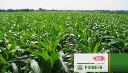 Все семена, произведенные и упакованные в любом из заводов DuPont Pioneer в любой стране мира, по всем показателям отвечают высоким требованиям и единым стандартам