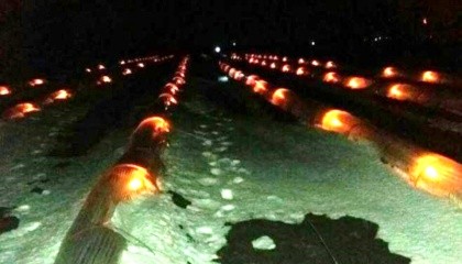 Фермеры в Одесской области спасли от апрельской непогоды рассаду дынь и арбузов с помощью свечей