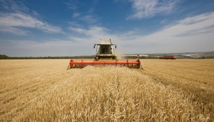 Украинские аграрии в некоторых областях вынуждены раньше времени начинать сбор озимого урожая из-за засухи