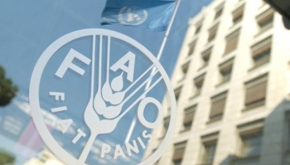 У FAO вирішили допомогти 20 групам агровиробників в зоні АТО, які вже формально зареєстровані як кооперативи або тільки на шляху юридичної реєстрації