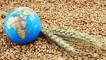 В течение следующего десятилетия цены на мировые продовольственные товары останутся на низком уровне по сравнению с предыдущими пиковыми значениями, поскольку ожидается, что темпы роста спроса в ряде стран с развивающейся экономикой замедлятся, а политика по биотопливу приведет к снижению давления на рынки