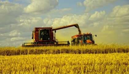 На сьогоднішній день у деяких областях орендна плата становить 10% від вартості землі. У підсумку, деякі культури вже вирощувати невигідно - наприклад, ячмінь. Та й пшениця - вже на межі